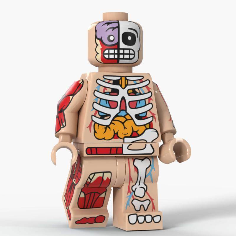 D8005 horror series anatomy bones minifigs