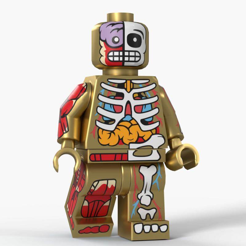 D8005 horror series anatomy bones minifigs