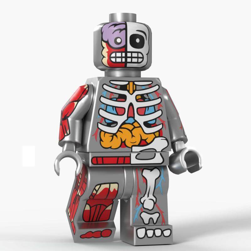 D8005 horror series anatomy bones minifigs